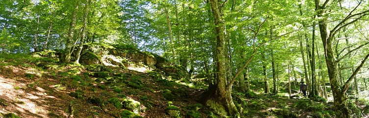 hetres-bethmale_68958679