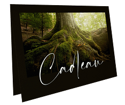 carte cadeau - Sylvotherapie Ariège