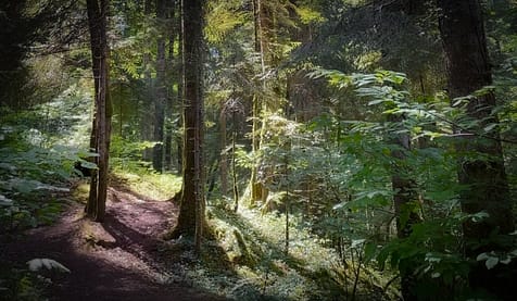 Ste Croix Volvestre